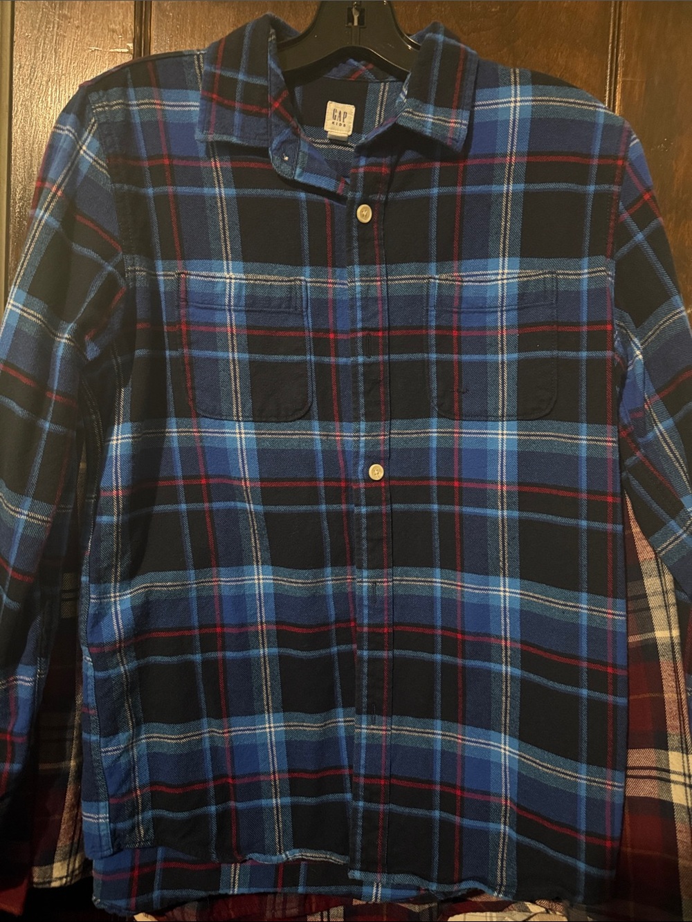 GAP Navy and Blue Plaid Button-Up Shirt
